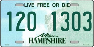 NH license plate 1201303