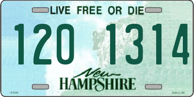 NH license plate 1201314