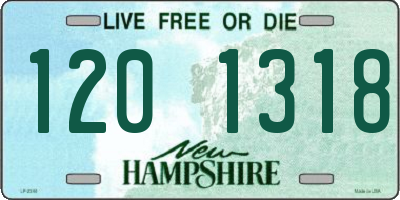 NH license plate 1201318