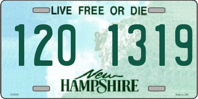 NH license plate 1201319