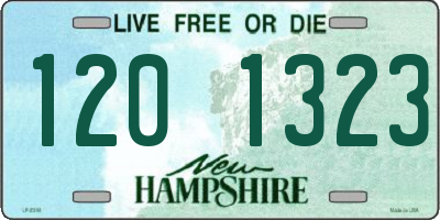 NH license plate 1201323
