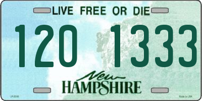 NH license plate 1201333