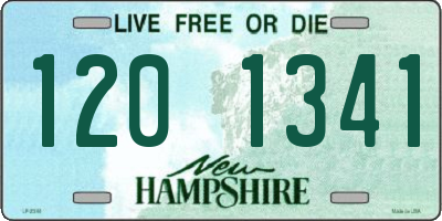 NH license plate 1201341