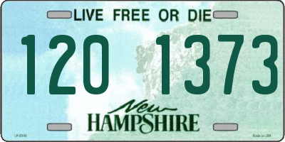 NH license plate 1201373