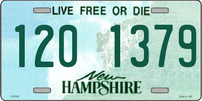 NH license plate 1201379