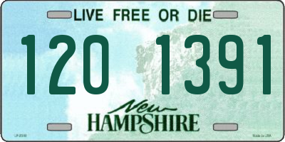 NH license plate 1201391