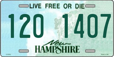 NH license plate 1201407