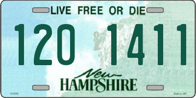 NH license plate 1201411