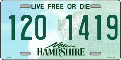 NH license plate 1201419
