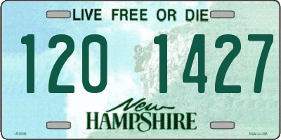 NH license plate 1201427
