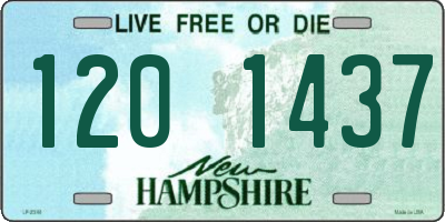NH license plate 1201437