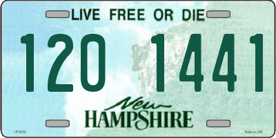 NH license plate 1201441