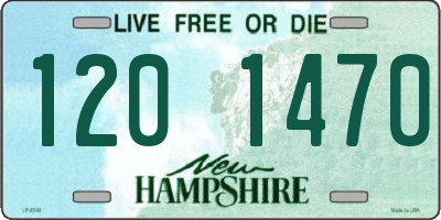 NH license plate 1201470