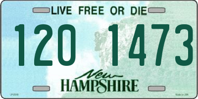 NH license plate 1201473