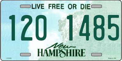 NH license plate 1201485