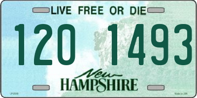 NH license plate 1201493