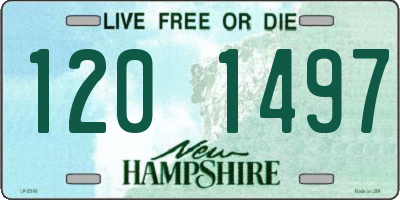 NH license plate 1201497