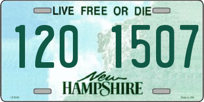 NH license plate 1201507