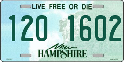 NH license plate 1201602