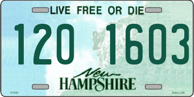NH license plate 1201603