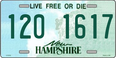 NH license plate 1201617