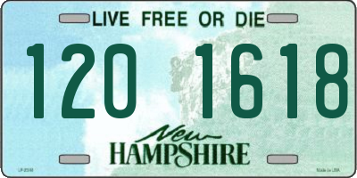 NH license plate 1201618