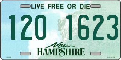 NH license plate 1201623