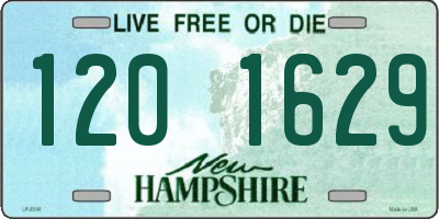 NH license plate 1201629