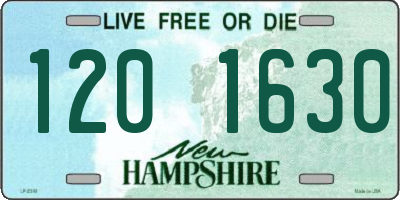 NH license plate 1201630