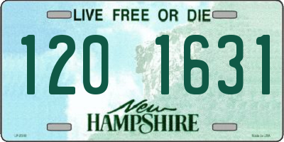 NH license plate 1201631