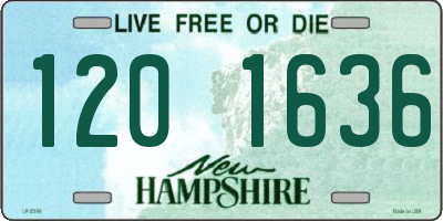 NH license plate 1201636