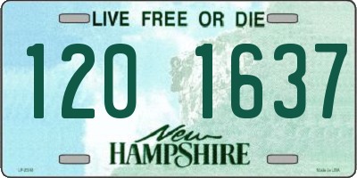 NH license plate 1201637