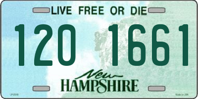 NH license plate 1201661
