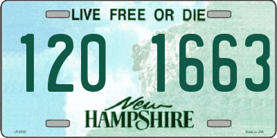 NH license plate 1201663