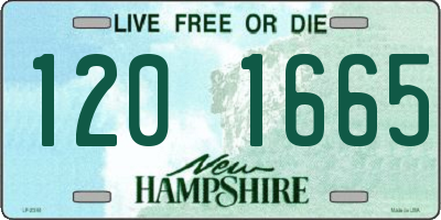 NH license plate 1201665