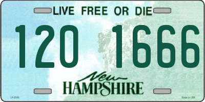 NH license plate 1201666