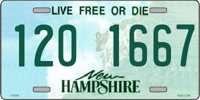 NH license plate 1201667