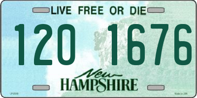 NH license plate 1201676