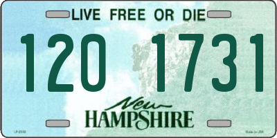 NH license plate 1201731