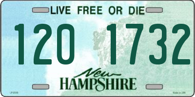 NH license plate 1201732