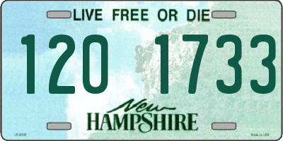 NH license plate 1201733