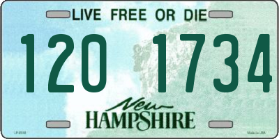 NH license plate 1201734
