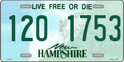 NH license plate 1201753