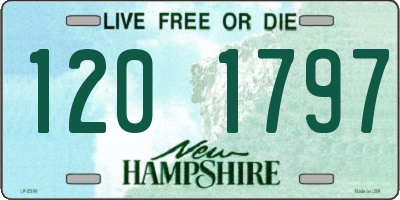 NH license plate 1201797