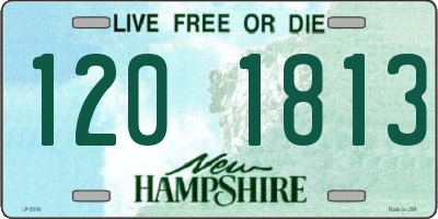 NH license plate 1201813