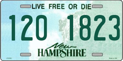 NH license plate 1201823