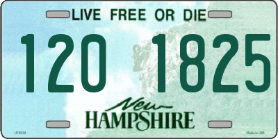 NH license plate 1201825