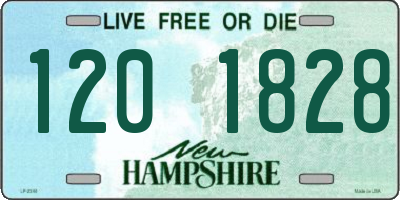 NH license plate 1201828