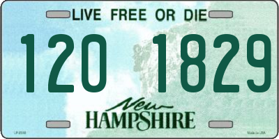 NH license plate 1201829
