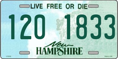 NH license plate 1201833